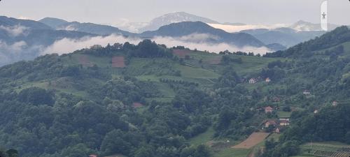 アパートメントの近くで見られる自然の景観