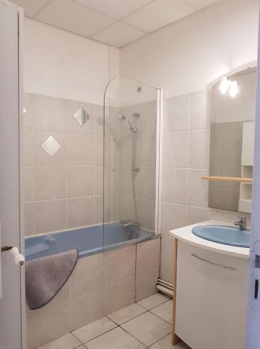 une salle de bain avec une douche, une baignoire et un lavabo dans l'établissement Les Elfes, à Murol