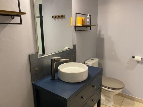 une salle de bain avec un lavabo et des toilettes dans l'établissement Dupleix au Fil du Canal, à Narbonne