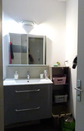 une salle de bain avec un lavabo et un miroir dans l'établissement A 2 pas du Port et de la Plage - Appartement 2 chambres - parking - Saint-Cyprien plage, à Saint-Cyprien