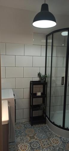 a bathroom with a mirror and a plant on a shelf at Przystań Tło dla Mew in Rydzewo