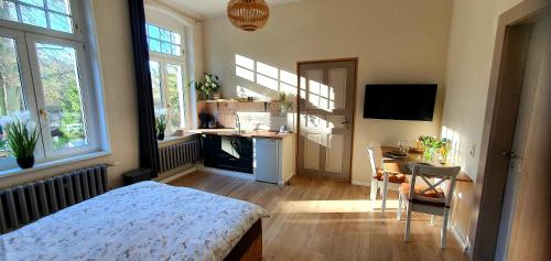 a bedroom with a bed and a table and a kitchen at Vogtlandperle in Oelsnitz/Vogtland
