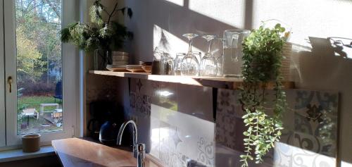 a kitchen with a shelf with glasses and a window at Vogtlandperle in Oelsnitz