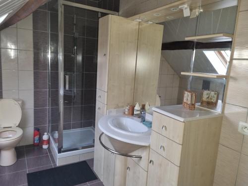 ein kleines Bad mit einem Waschbecken und einem WC in der Unterkunft ÉTAGES PRIVÉE POUR 4 PERSONNES 2 CHAMBRES ET 1 SALE DE BAIN i in Roissy-en-France