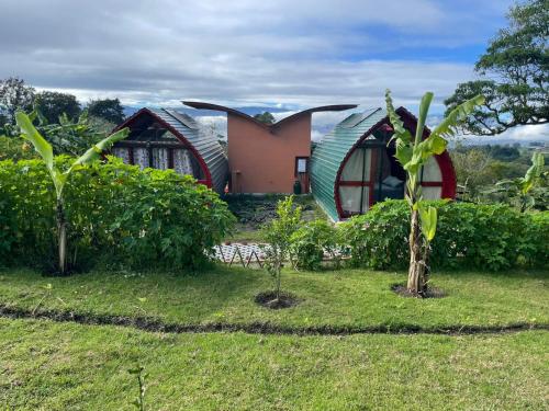 a house with a metal roof on top of a yard at Glamping Campo Alegre in Cartago