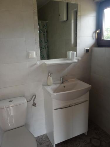 La salle de bains blanche est pourvue de toilettes et d'un lavabo. dans l'établissement Domek nad Wisłą, 