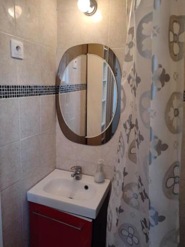 une salle de bain avec un lavabo et un miroir dans l'établissement 2 pièces docks du havre., au Havre