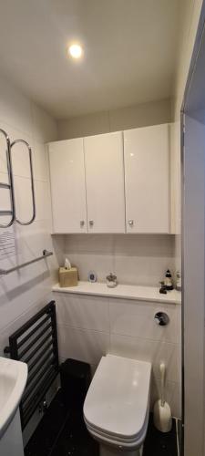 Baño pequeño con aseo blanco y lavabo en Lowefield B&B, en Plean