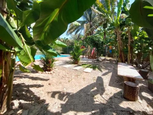 Un jardín fuera de Finca La Perla Yopal