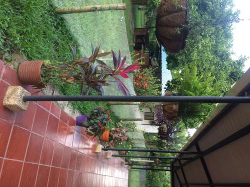 Un jardín fuera de Finca La Perla Yopal