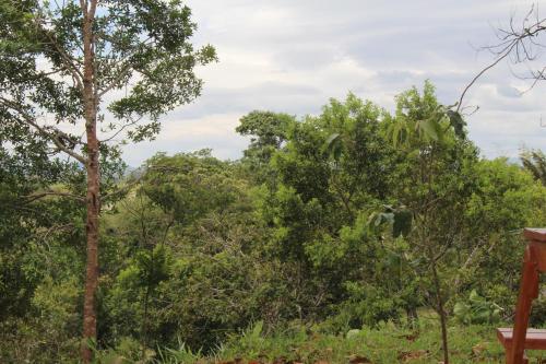 Gambar di galeri bagi Serranía Eco Lodge di San Juan de Arama