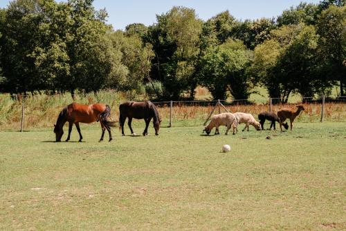 Gallery image of maeva Respire Cottage de Brocéliande in Caro