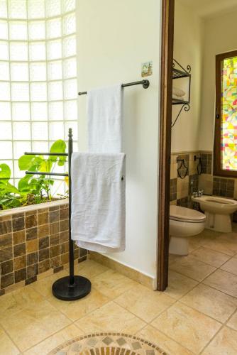a bathroom with a towel rack and a toilet at Wanakaset Panama in Dolega