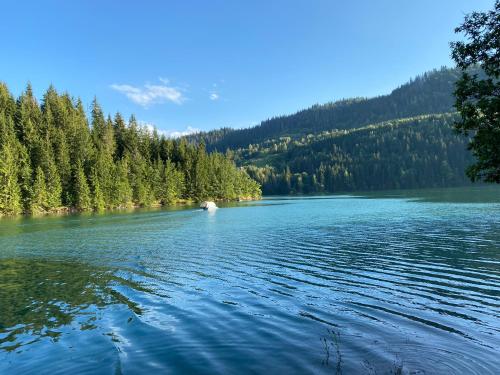 a view of a river with a boat on it at Zlatar Lake Hill in Nova Varoš