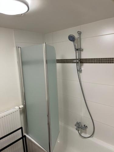 een douche met een glazen deur in een badkamer bij Louisa2 in Oostende