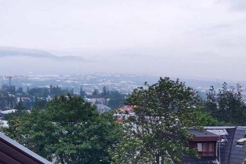 a view of a city with trees and buildings at Icelandic Art Garden Villa w. parking in centre city in Reykjavík