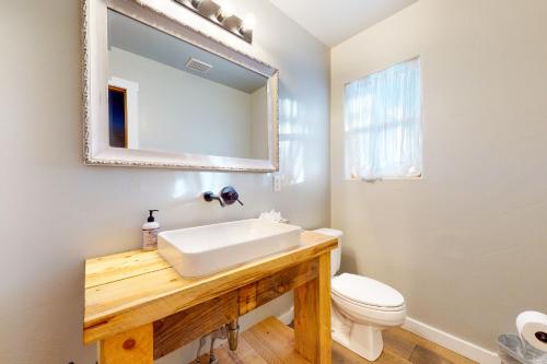 a bathroom with a sink and a mirror and a toilet at Adi Geda Mountain Retreat in Silverthorne