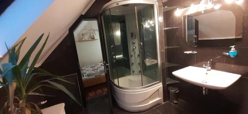 een badkamer met een wastafel en een douche bij Oázis Apartmanház in Hajdúszoboszló