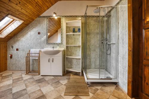 a bathroom with a shower and a sink at Apartmány Pod Šerákem in Lipova Lazne