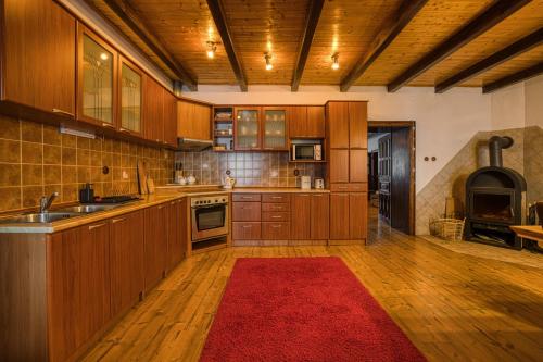 a large kitchen with wooden cabinets and a red rug at Apartmány Pod Šerákem in Lipova Lazne