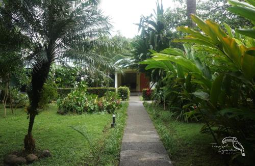 a walkway through a garden with a palm tree at Tropical Garden Hotel in Jacó