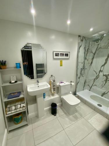 a bathroom with a sink and a toilet and a shower at The Old Workshop - Drift in Penzance