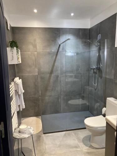 a bathroom with a shower and a toilet at Figtrees in Margueron