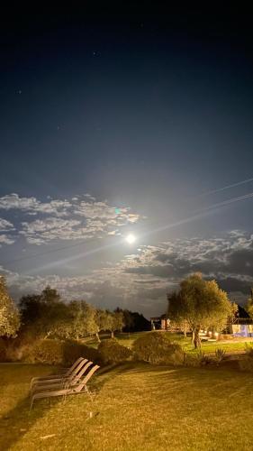 a bench sitting in the grass in a field at night at Quinta da Tapada de São Pedro in Vimieiro