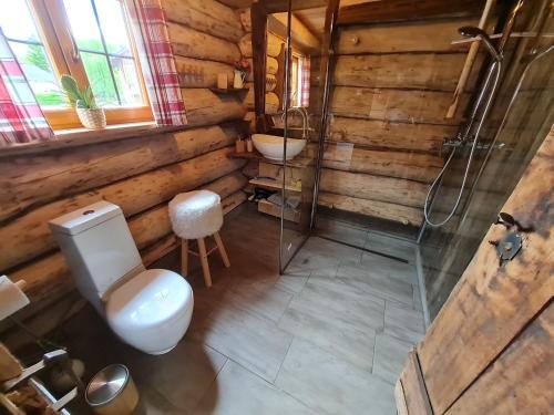 ein Bad mit einem WC, einem Waschbecken und einer Dusche in der Unterkunft Naturstammhaus in Seltenheim