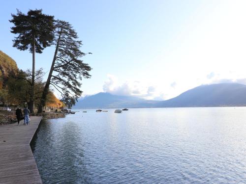 Photo de la galerie de l'établissement Appartement confortable avec parking et WIFI à 10mn du centre-ville - FR-1-432-25, à Annecy