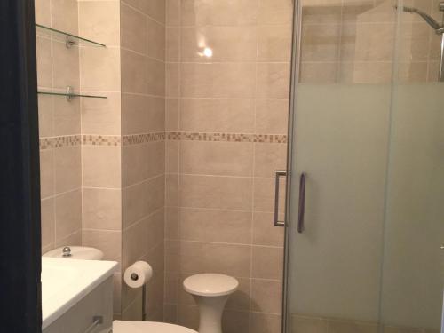 une salle de bain avec une douche avec des toilettes et un lavabo dans l'établissement Studio cosy à Morzine, proche centre, pieds des pistes, parking couvert, animaux admis - FR-1-524-84, à Morzine