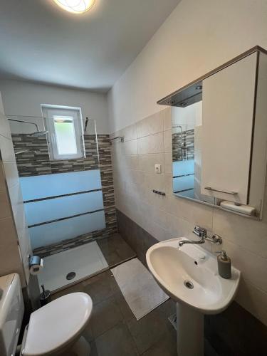 a bathroom with a sink and a toilet and a mirror at Blue Art Apartment in Sveti Juraj