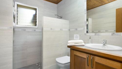 een badkamer met een wastafel, een toilet en een spiegel bij Villa Cip 14pax - Vidreres in Vidreres