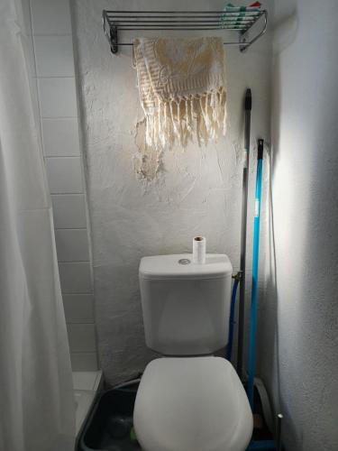 La salle de bains est pourvue d'une douche et de toilettes. dans l'établissement LIBERTE 17/3, à Arles