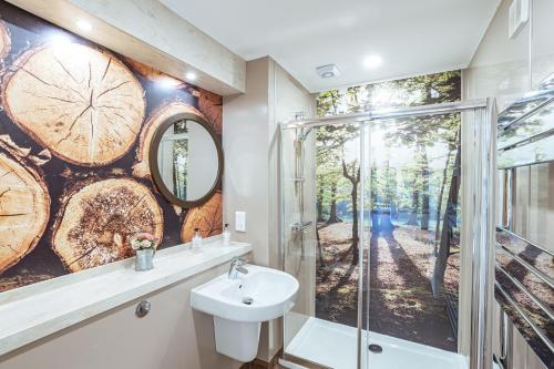 a bathroom with a shower and a sink and a mirror at Squirrel Lodge 41 with Hot Tub in Newton Stewart