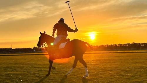 MAGENTA POLO HOME – Photos 2