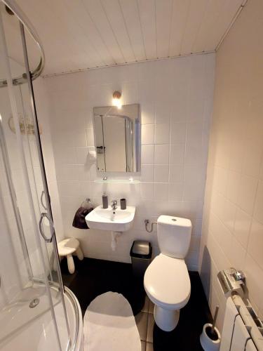 a small bathroom with a toilet and a sink at Willa Arte in Karpacz