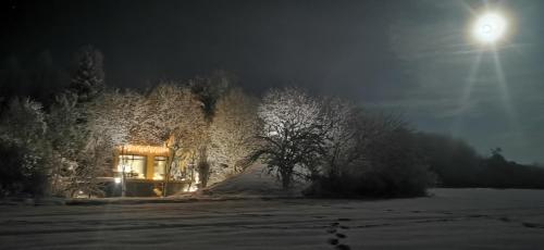 une maison avec un arbre dans la neige la nuit dans l'établissement PASSION HUT, à Salantai