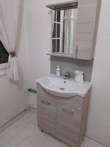 un baño con lavabo y espejo en Roulas Cozy Apartments, en Artemida