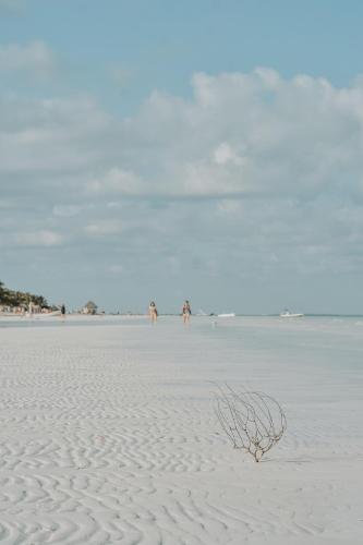 a group of people walking on a sandy beach at Hotel Encanto Holbox Beach Front in Holbox Island