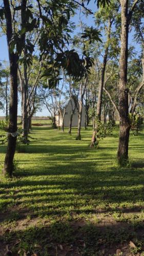 ein Grasfeld mit Bäumen in einem Park in der Unterkunft Carmen del Paraná Sandra Hostel in Carmen del Paraná