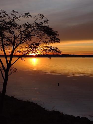una puesta de sol sobre un cuerpo de agua con un árbol en Carmen del Paraná Sandra Hostel en Carmen del Paraná