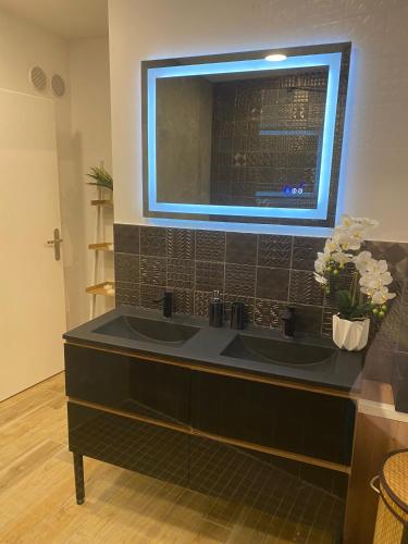a bathroom with two sinks and a large mirror at Residence Pasteur Angouleme in Angoulême