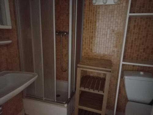 une salle de bain avec une douche, des toilettes et un lavabo dans l'établissement Duplex 4 pièces, balcon Sud/Ouest, 100m des pistes - FR-1-449-94, à Tignes
