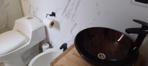 a bathroom with a wooden sink and a toilet at Departamento con parque a metros del mar in Ostende