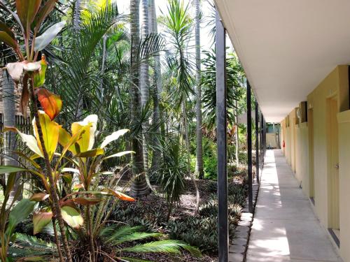 a hallway with palm trees and a building at Best Western Airport 85 Motel in Brisbane