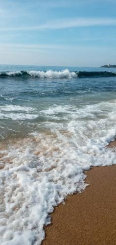 a beach with the ocean and waves at Cinnabar Resort in Tangalle