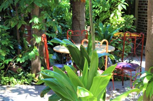 einen Tisch und Stühle in einem Garten mit Tisch und Stühlen in der Unterkunft Cabañas Rústicas El Benny by Rotamundos in Loreto