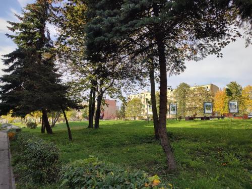 een park met bomen en een gebouw op de achtergrond bij Szare Miraże in Busko-Zdrój