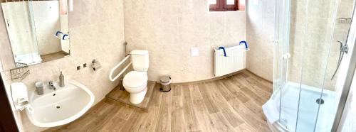 a bathroom with a toilet and a sink and a shower at Penzion Dolní Morava in Dolní Morava